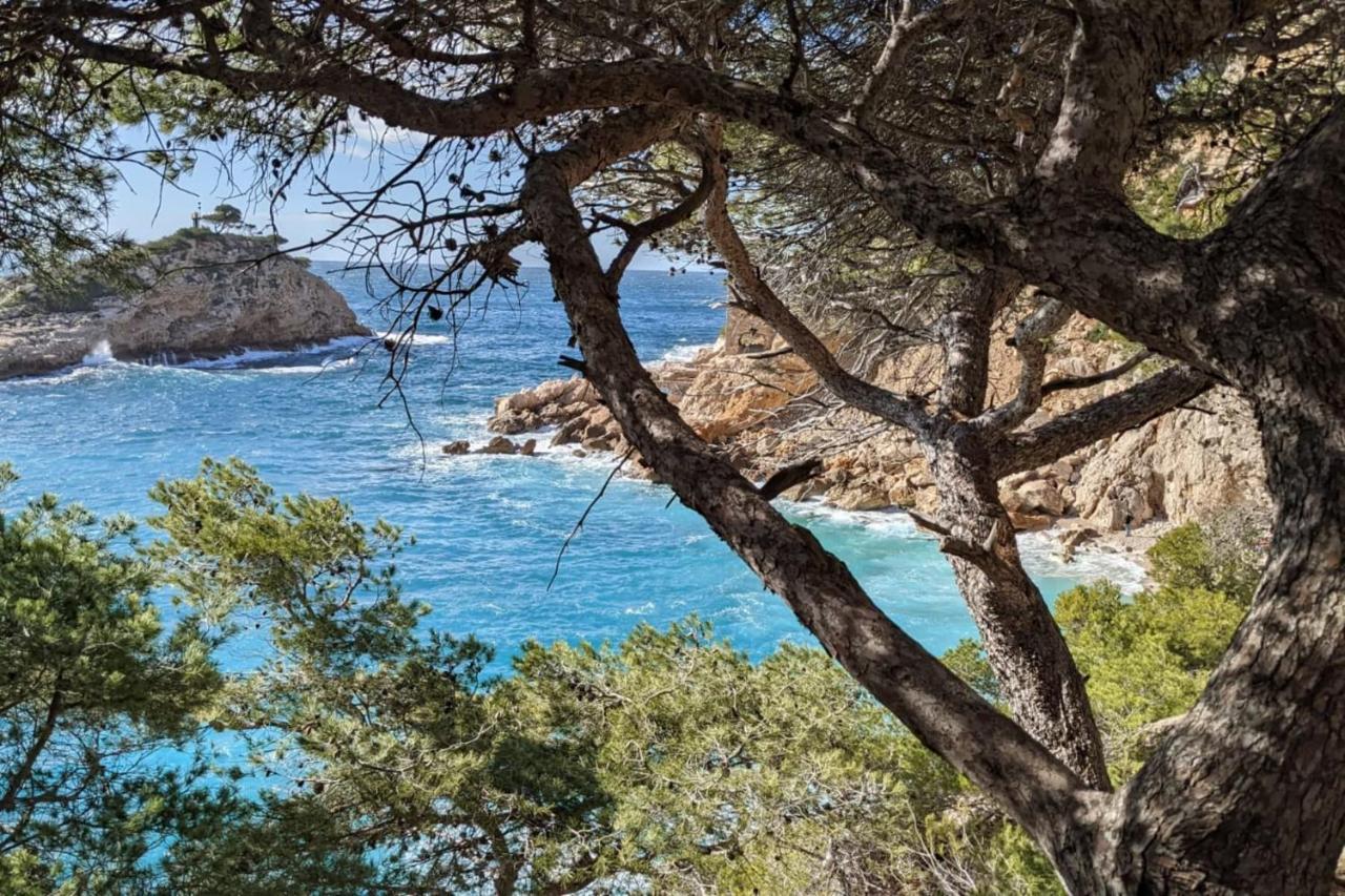 Tranquil 1 Bedroom Close To The Beach With Terrace - Dodo Et Tartine Carry-le-Rouet Eksteriør billede